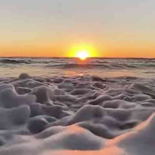 صالح بهمنش قسمت بر سرم گشته که بی خانه بمانم